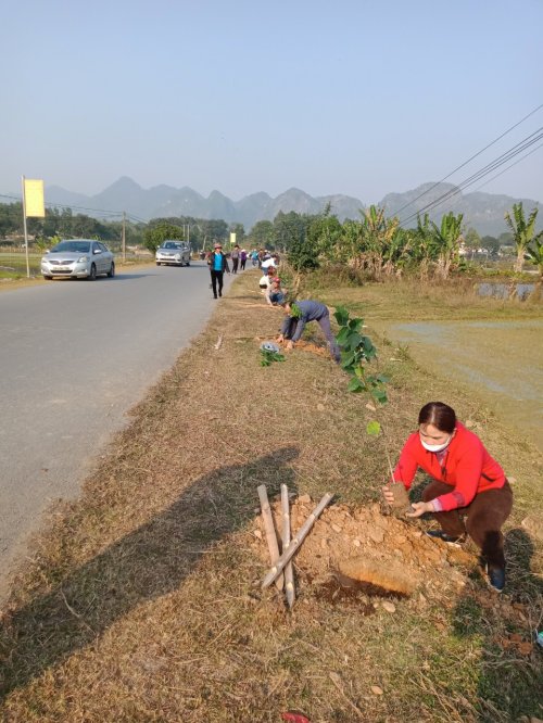 Trồng cây.jpg