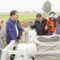 Ứng dụng trí tuệ nhân tạo trong sản xuất nông nghiệp