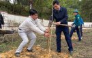 Xã Cẩm Thành tổ chức Lễ phát động tết trồng cây  Đời đời nhớ ơn Bác Hồ xuân Ất Tỵ 2025