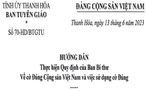 Hướng dẫn thực hiện Quy định của Ban Bí thư về cờ Đảng Cộng sản Việt Nam và việc sử dụng cờ Đảng